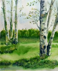 11-Paisatges arbres-troncs-50x60cm-Aquarel&middot;la-350&euro;