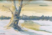 5-Abre Nevad-33x23&acute;5cm-Aquarel&middot;la-130&euro;